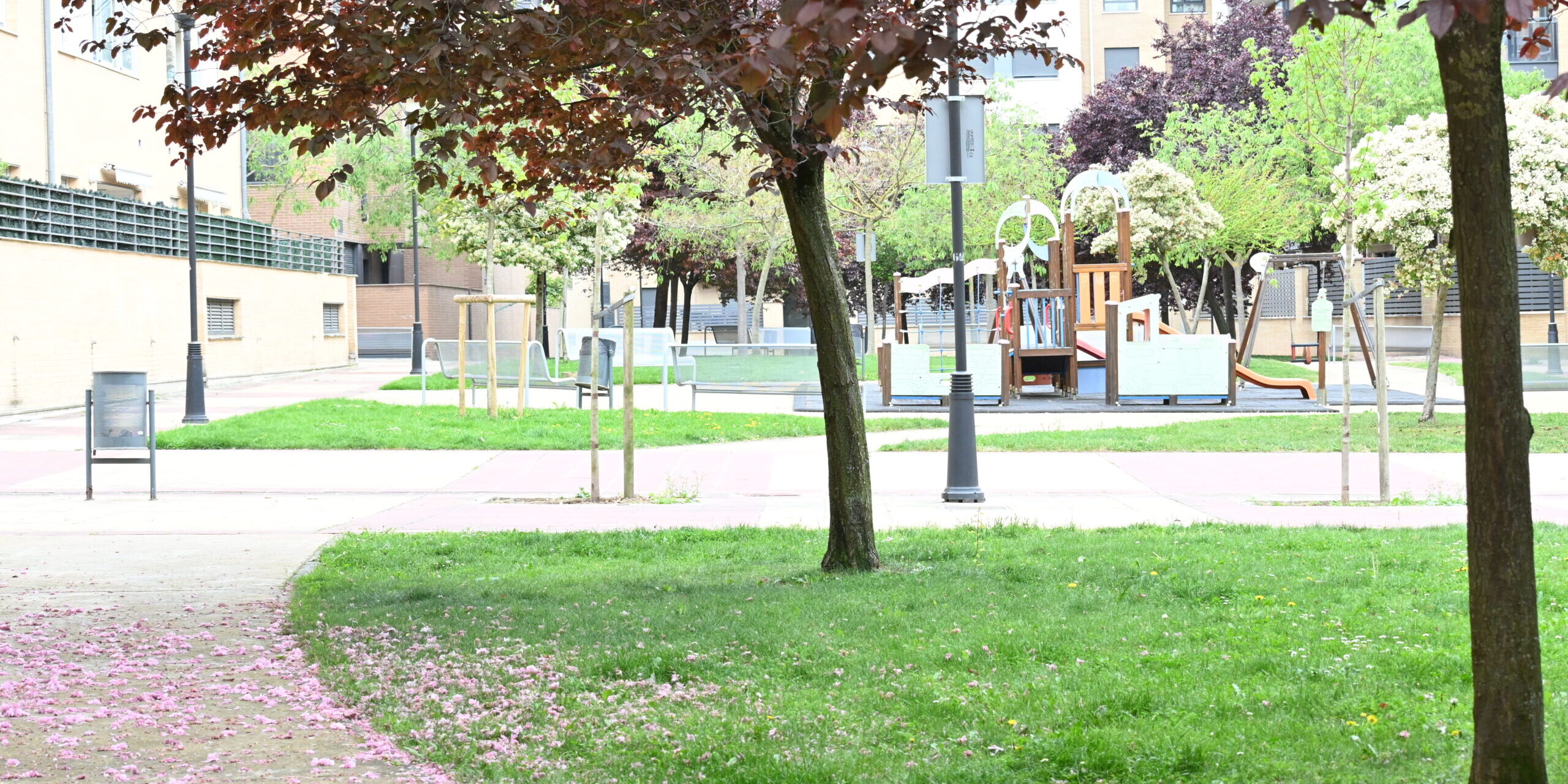 Alquiler de sala multiusos, eventos, cumpleaños, reuniones, actividades